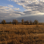 Аватарка пользователя Окрошка @okroshka